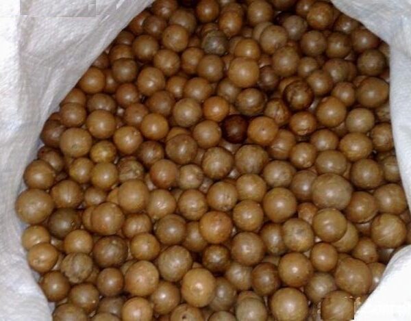 Macadamia Nuts