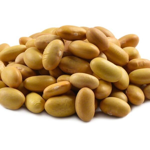 Mayocoba Beans