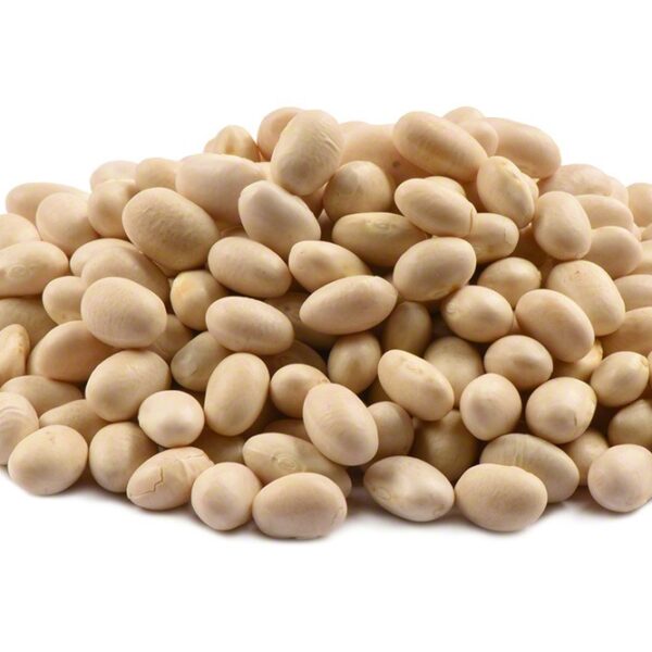 Navy Beans