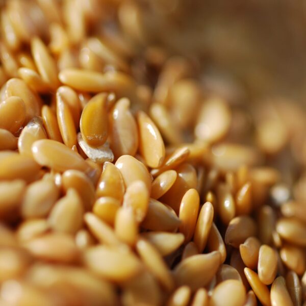 GOLDEN LINSEEDS