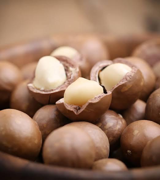 Macadamia Nuts for Sale