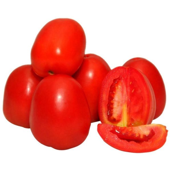 fresh and sweet premium Tomato