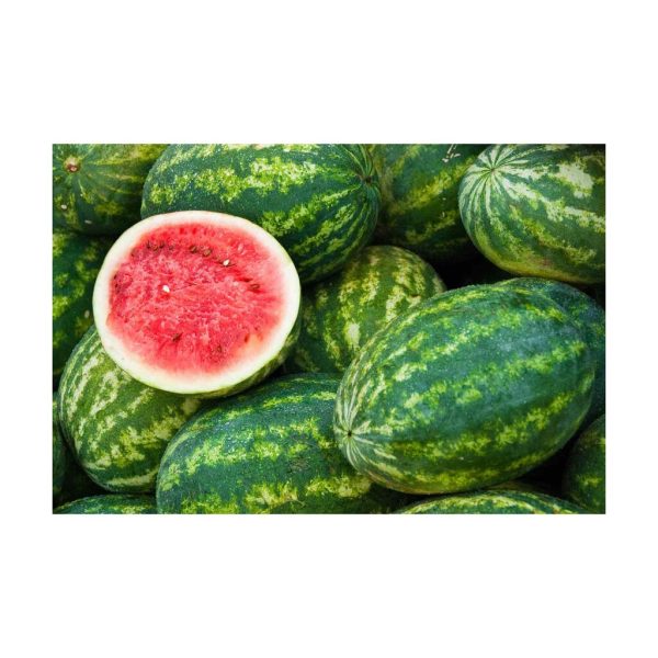 Natural Sweet Watermelon
