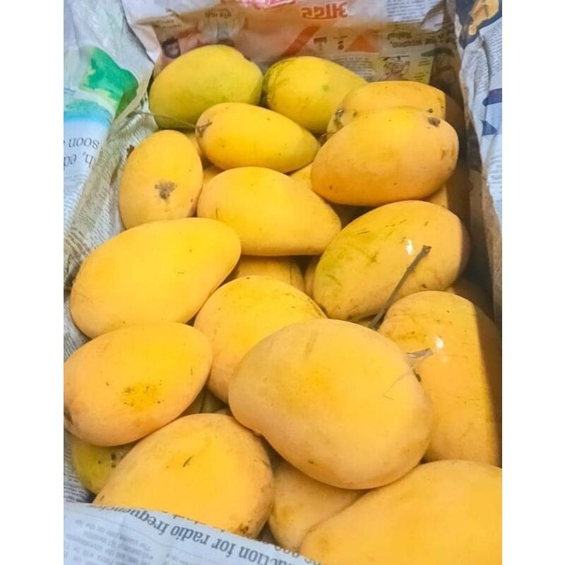 Fresh Sweet Mangoes - Image 4