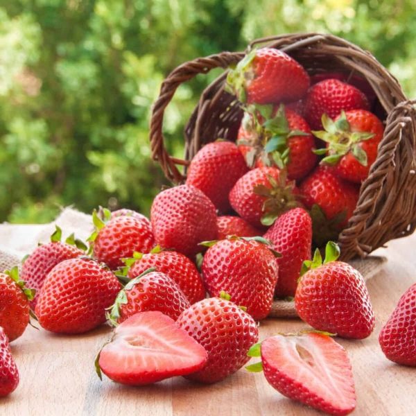 Fresh organic strawberries fruits