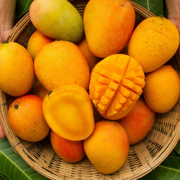 Fresh Sweet Mangoes