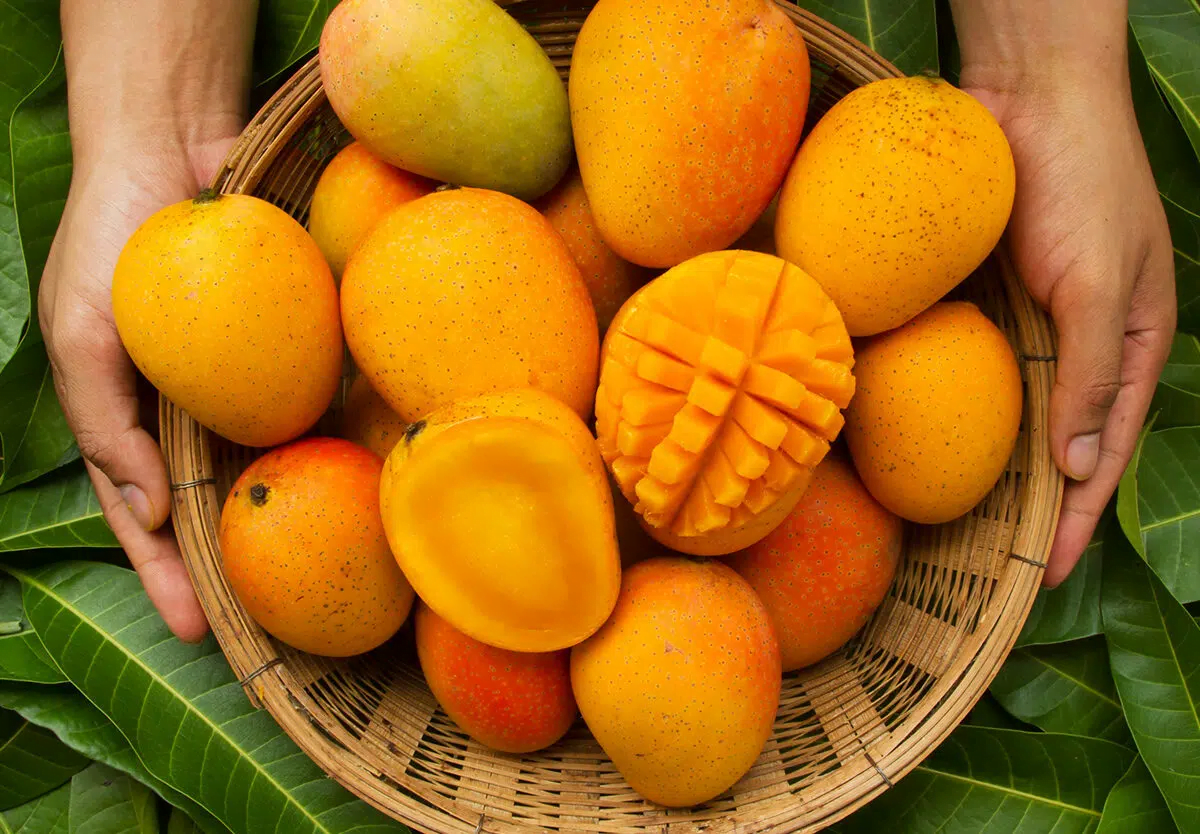 Fresh Sweet Mangoes