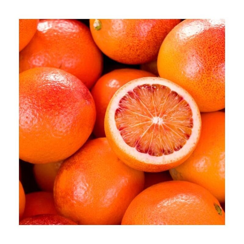 High quality fresh fruit Fresh oranges - Image 4