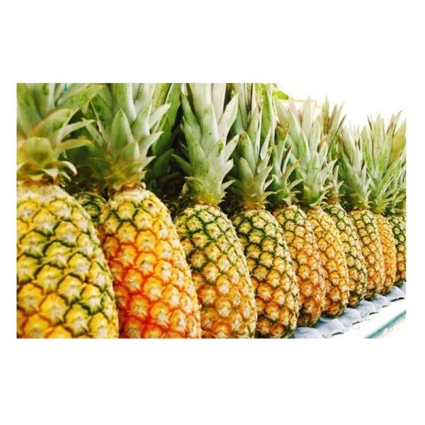 Natural Sweet Fresh Pineapples